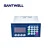 Santwell Weighing Indicator